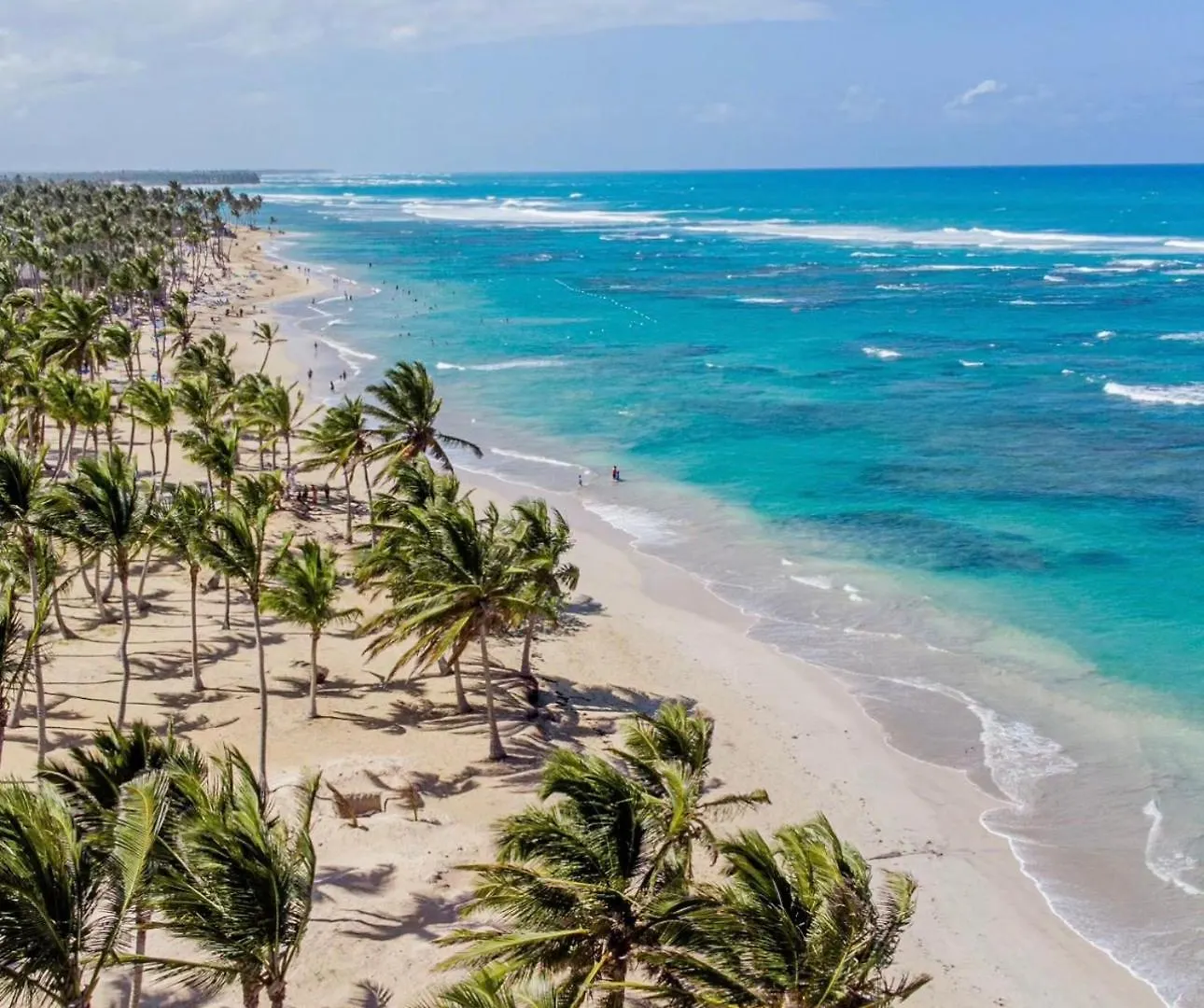 Hotel Neon Punta Cana 0*,